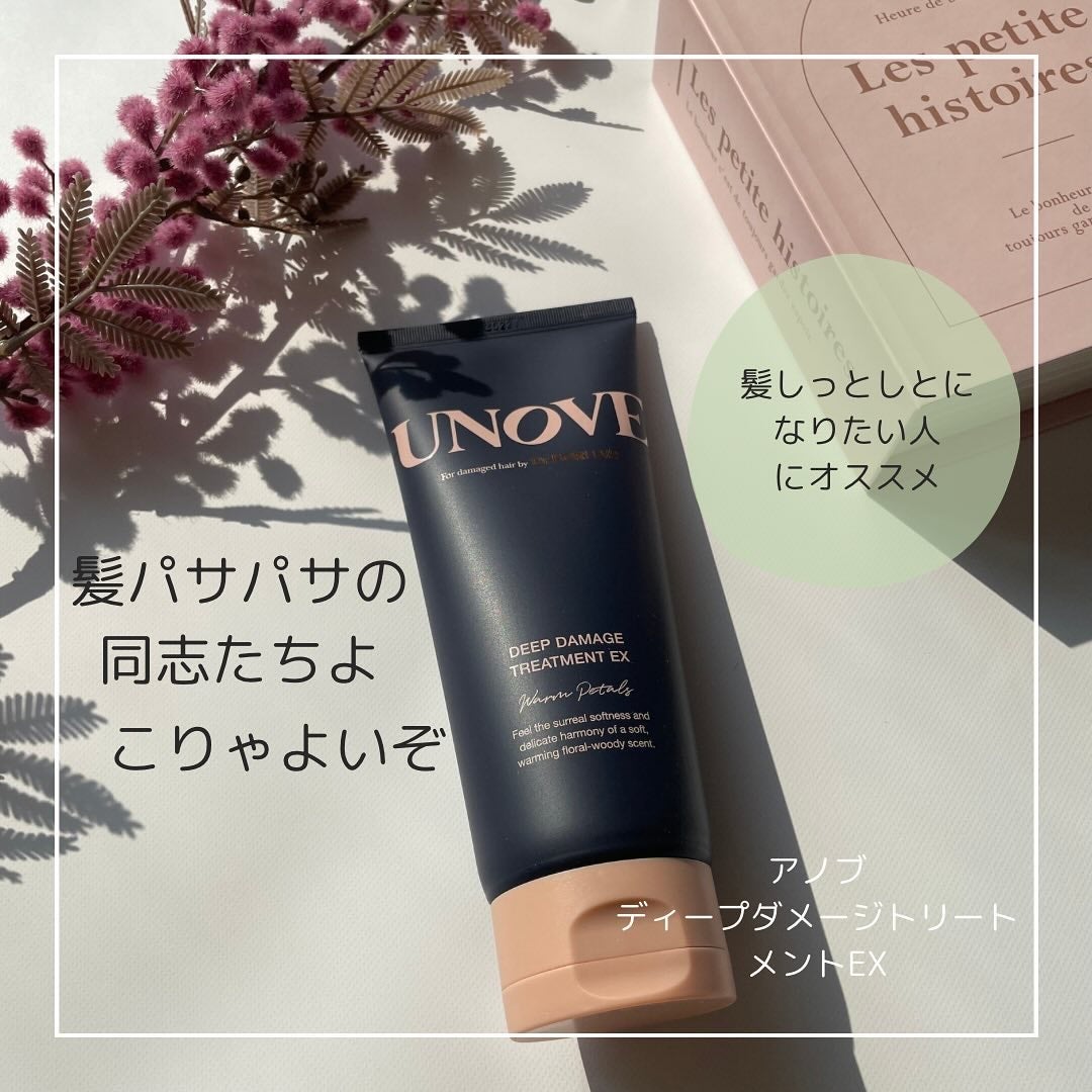 ディープダメージトリートメントEX/UNOVE/洗い流すヘアトリートメントを使ったクチコミ(1枚目)