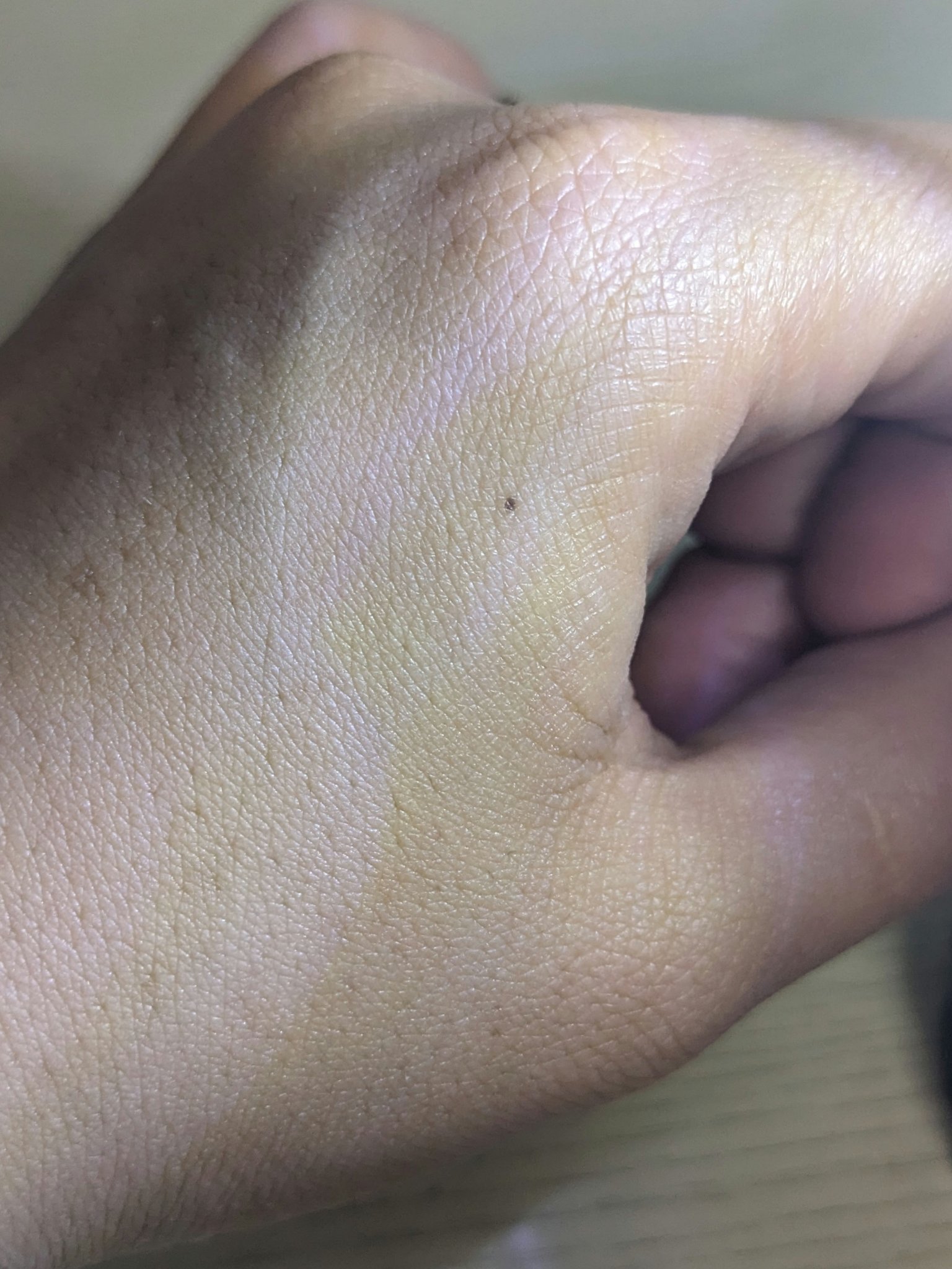 マスクフィットクッション/TIRTIR(ティルティル)/クッションファンデーションを使ったクチコミ（2枚目）