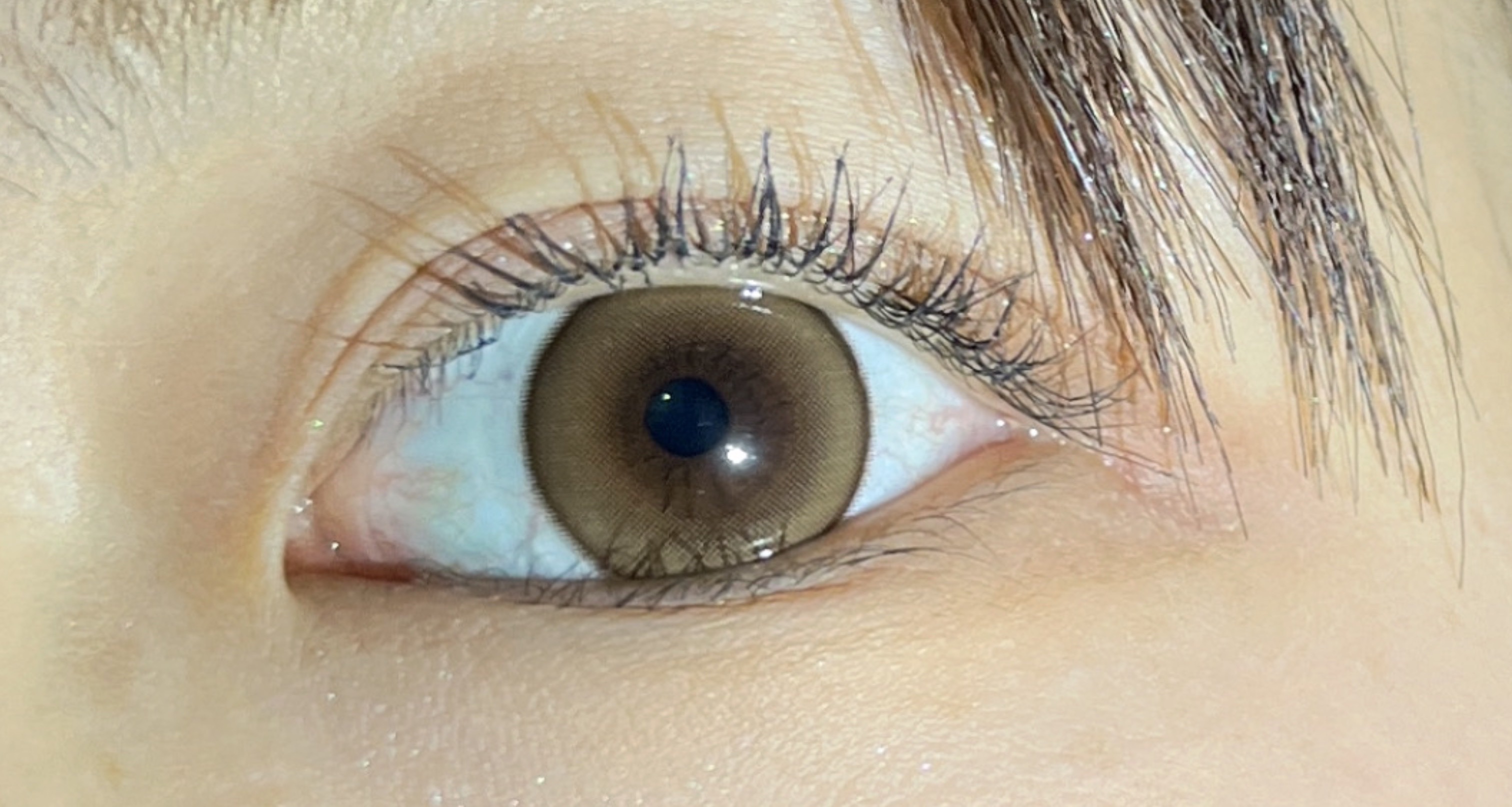 melotte 1day シークレットベア/melotte/ワンデー（１DAY）カラコンを使ったクチコミ（1枚目）