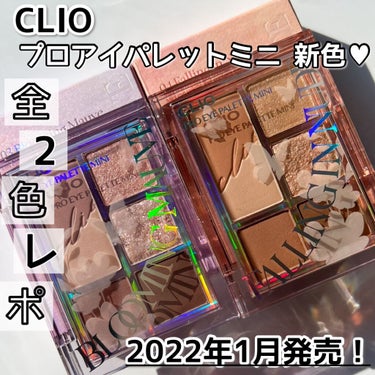 プロ アイパレット ミニ/CLIO/アイシャドウパレットを使ったクチコミ（1枚目）