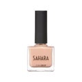 010 Sahara