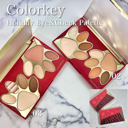 トラ十色アイシャドウパレット/COLORKEY/アイシャドウパレットを使ったクチコミ(1枚目)