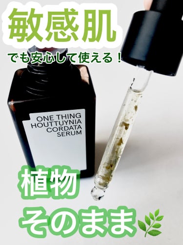 ONE THING ドクダミセラムのクチコミ「○商品/ONE THING ドクダミ鎮静セラム
○特徴/鎮静、敏感肌トラブル肌でも使える

─.....」（1枚目）