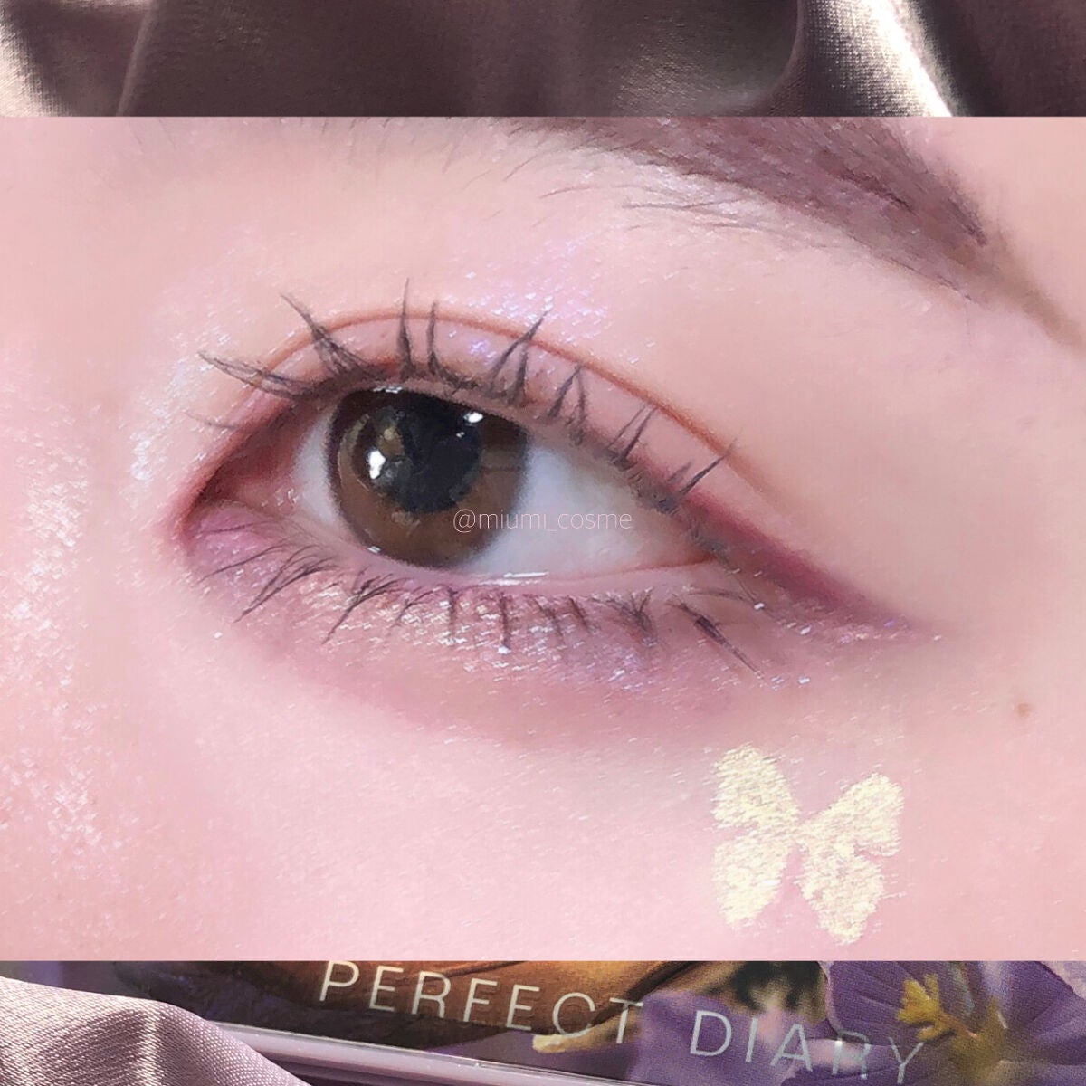 エクスプローラ12色 動物アイシャドウパレット/PERFECT DIARY/アイシャドウパレットを使ったクチコミ(6枚目)