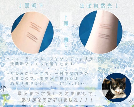 ツートンカラーアイブロウペンシル/GENE TOKYO/アイブロウペンシルを使ったクチコミ(6枚目)