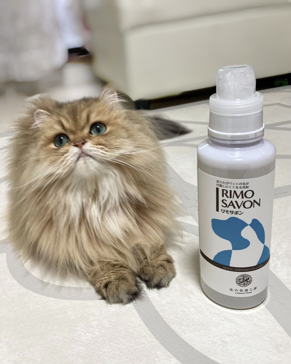 試してみた】リモサボン 北の快適工房のリアルな口コミ