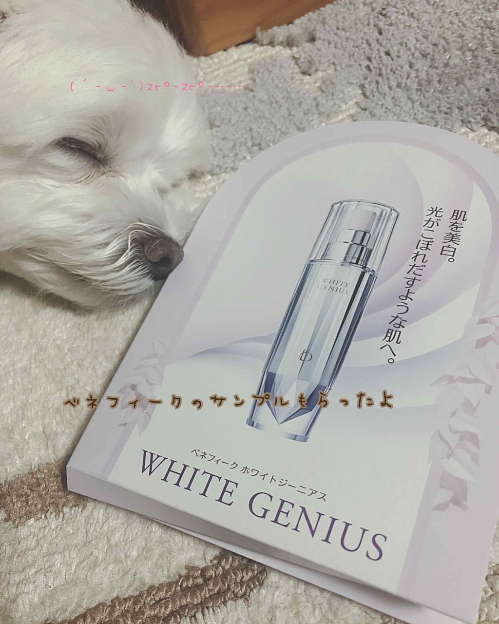 コットン W/BENEFIQUE/コットンを使ったクチコミ（1枚目）