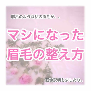 カラーリングアイブロウ/ヘビーローテーション/眉マスカラを使ったクチコミ（1枚目）