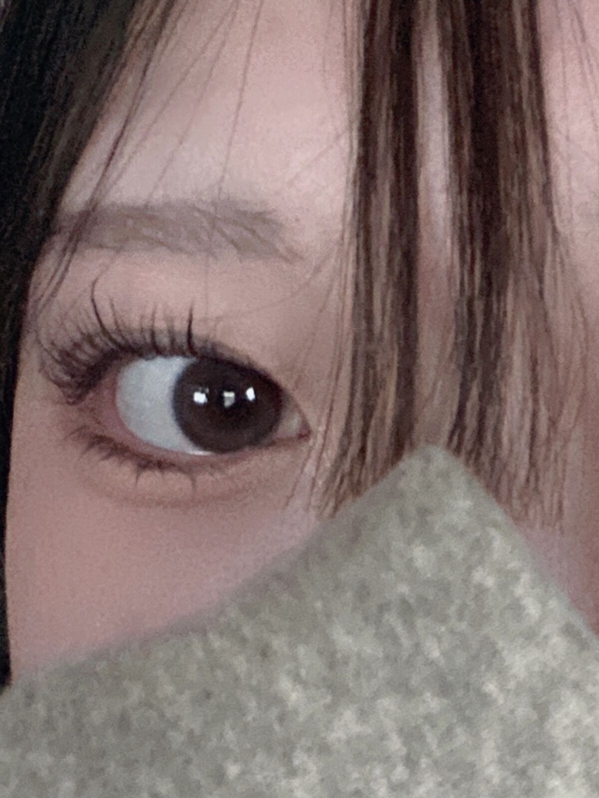 プロ アイ パレット/CLIO/アイシャドウパレットを使ったクチコミ（2枚目）