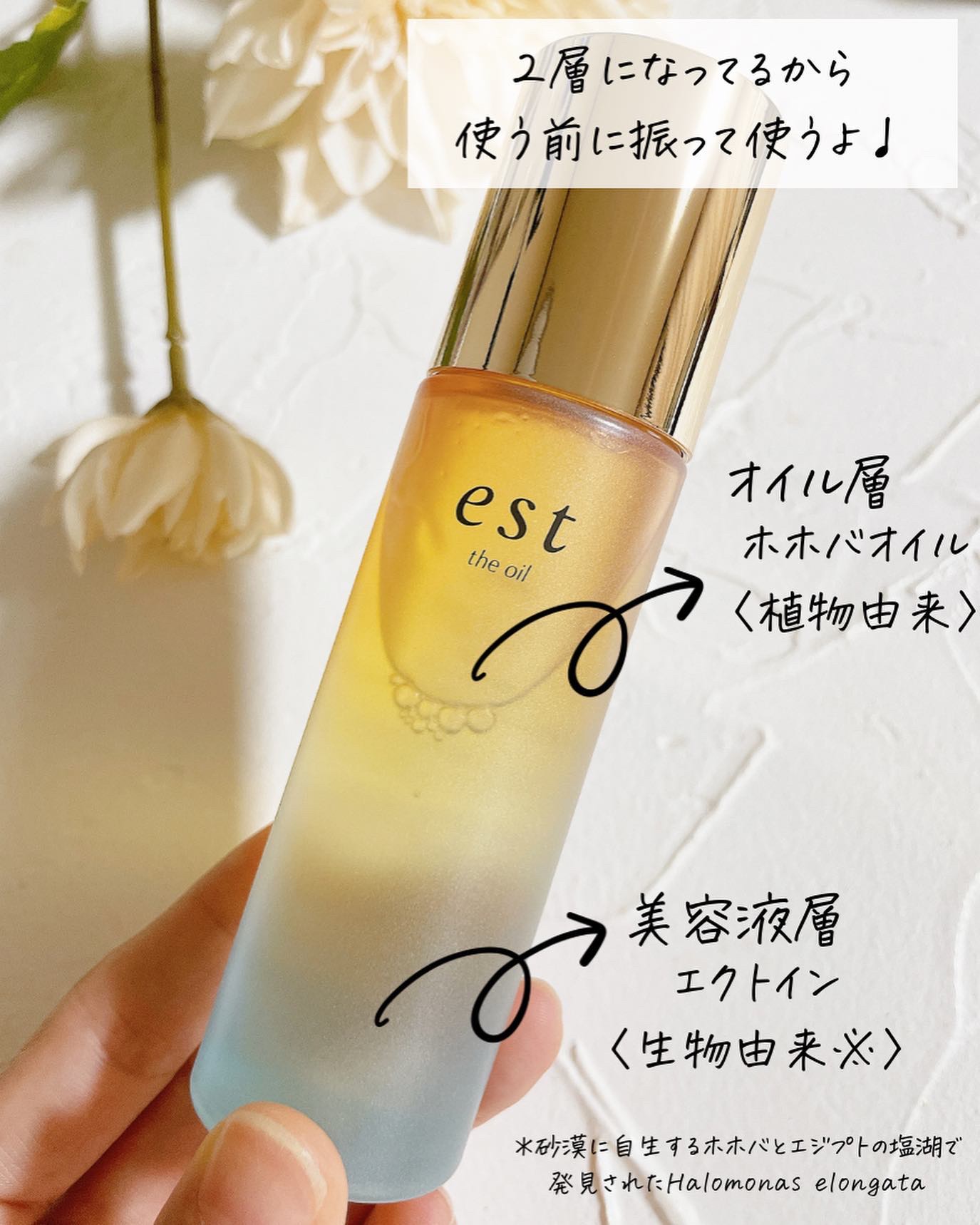 ザ オイル/est/フェイスオイルを使ったクチコミ（3枚目）