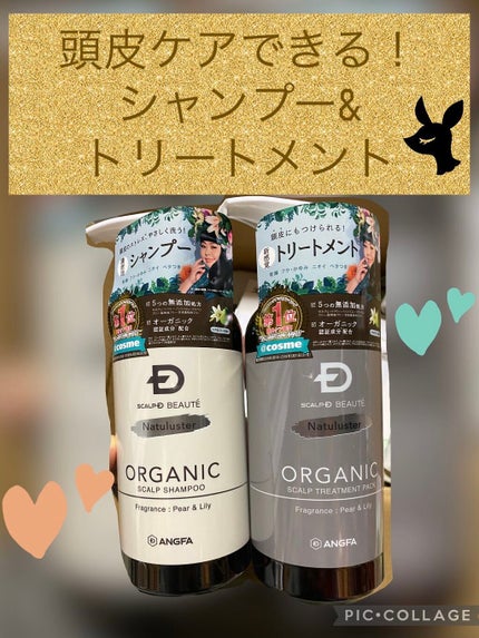 スカルプD ボーテ ナチュラスター スカルプシャンプー/トリートメントパック/アンファー(スカルプD)/シャンプー・コンディショナーを使ったクチコミ(1枚目)