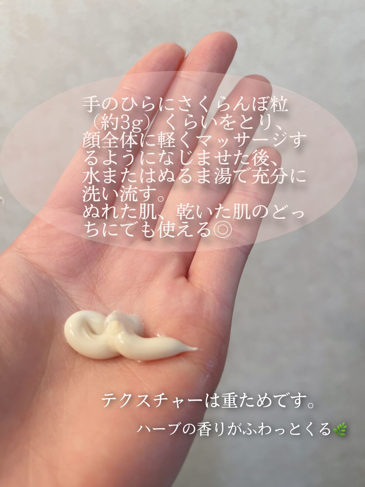 モイスト ウォッシュ クリーム/IGNIS/その他洗顔料を使ったクチコミ(2枚目)