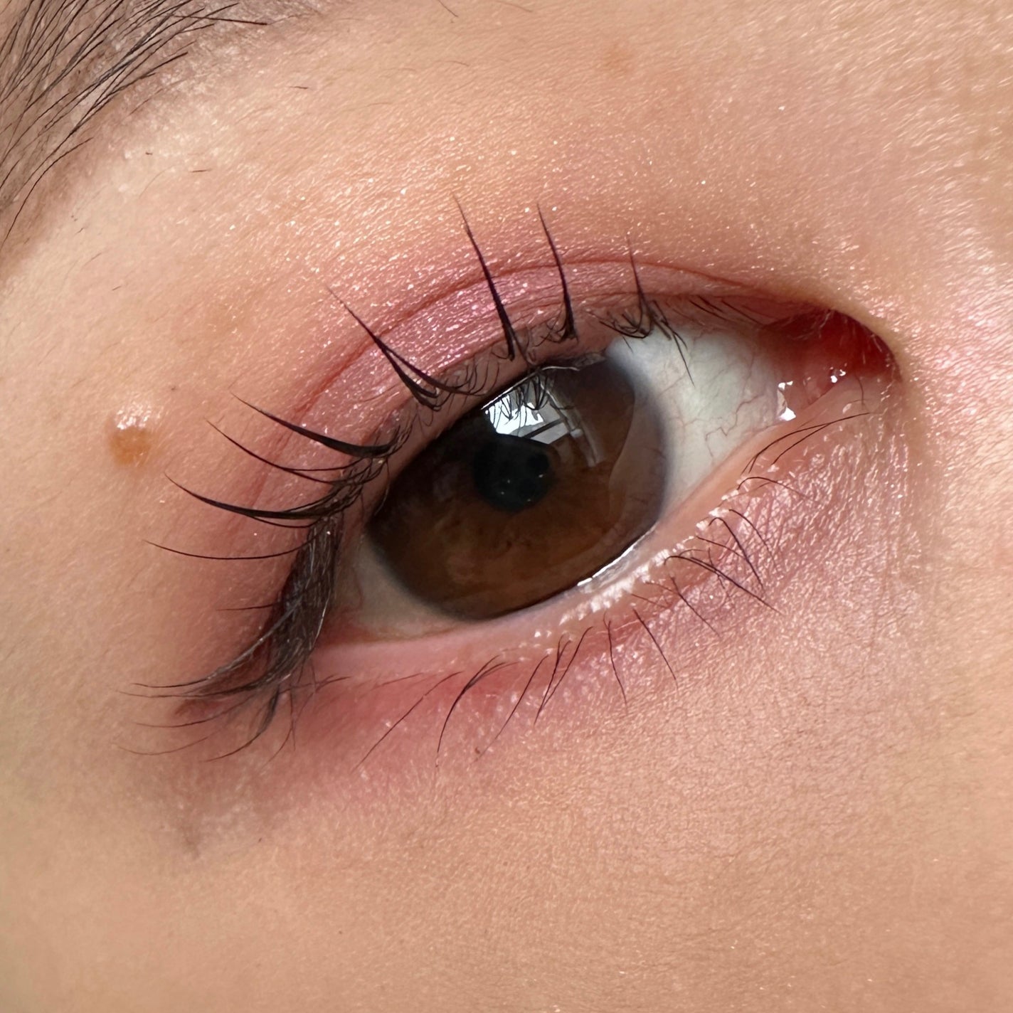 レ キャトル オンブル ツイード/CHANEL/アイシャドウパレットを使ったクチコミ(2枚目)