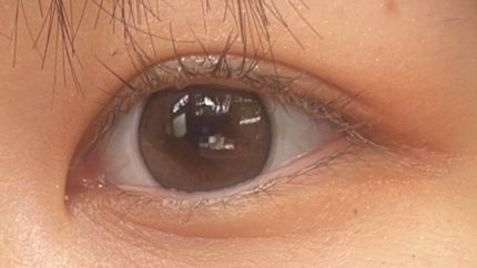 エバーカラーワンデー ナチュラル/エバーカラー/ワンデー(1DAY)カラコンを使ったクチコミ(1枚目)