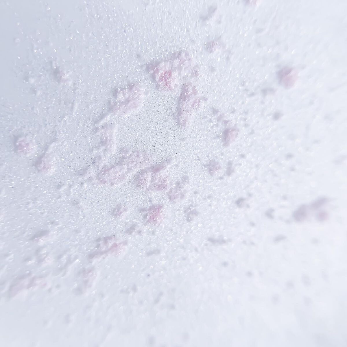 ミス ディオール ブルーミング ボディ パウダー/Dior/ボディパウダーを使ったクチコミ(3枚目)