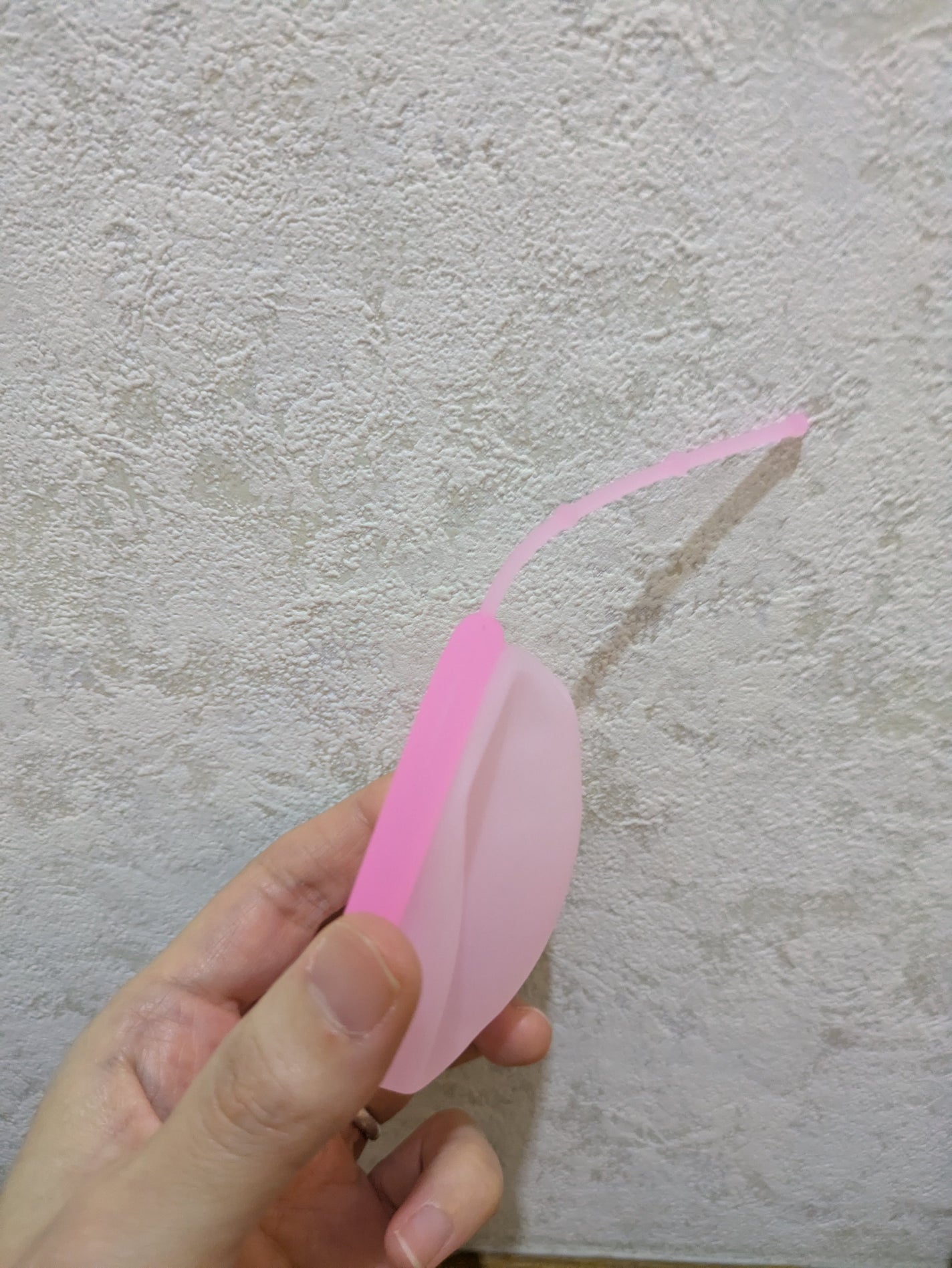 月経ディスク/Watles/その他生理用品を使ったクチコミ(4枚目)