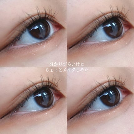 プロ アイ パレット/CLIO/アイシャドウパレットを使ったクチコミ(6枚目)