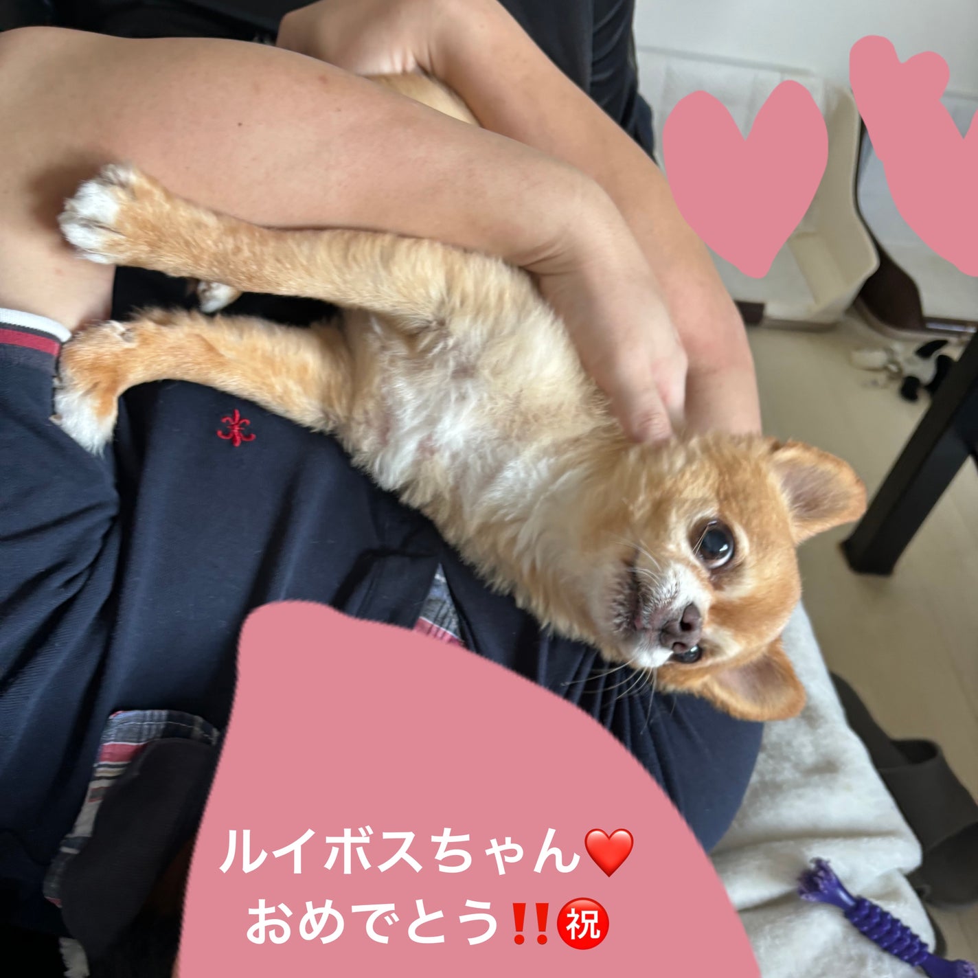 ネイル カラー ポリッシュ/SUQQU/マニキュアを使ったクチコミ(6枚目)