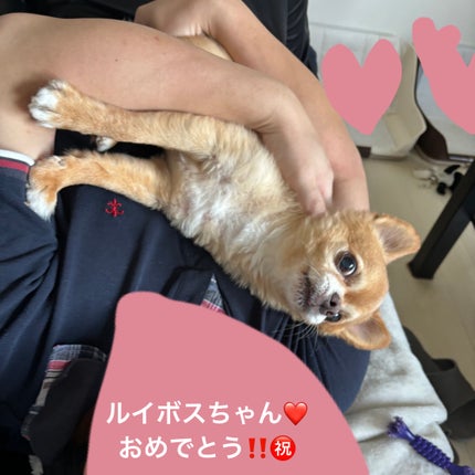 ネイル カラー ポリッシュ/SUQQU/マニキュアを使ったクチコミ(6枚目)