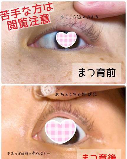 ラッシュジェリードロップ EX/MAJOLICA MAJORCA/まつげ美容液を使ったクチコミ(4枚目)