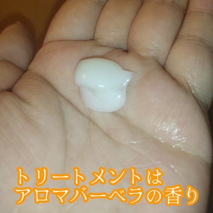 ドリーミー モイスト シャンプー/ヘアトリートメント/THERATIS/市販シャンプーを使ったクチコミ(3枚目)