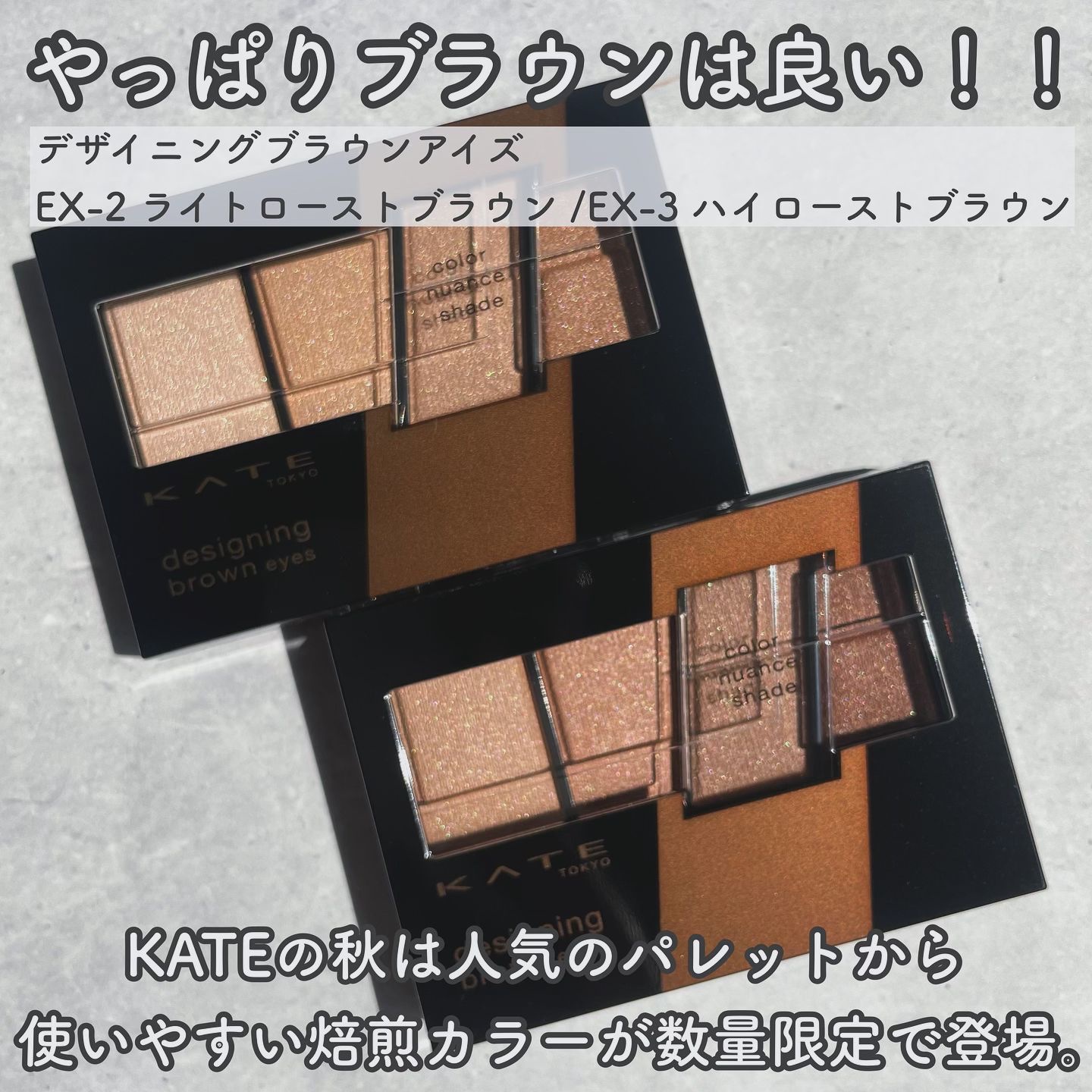 デザイニングブラウンアイズ EX-2 浅煎りブラウン(ライトローストブラウン)(限定)/KATE/アイシャドウパレットを使ったクチコミ（2枚目）