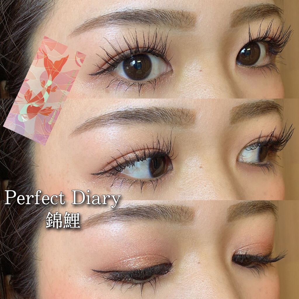 エクスプローラ12色 動物アイシャドウパレット/PERFECT DIARY/アイシャドウパレットを使ったクチコミ（1枚目）