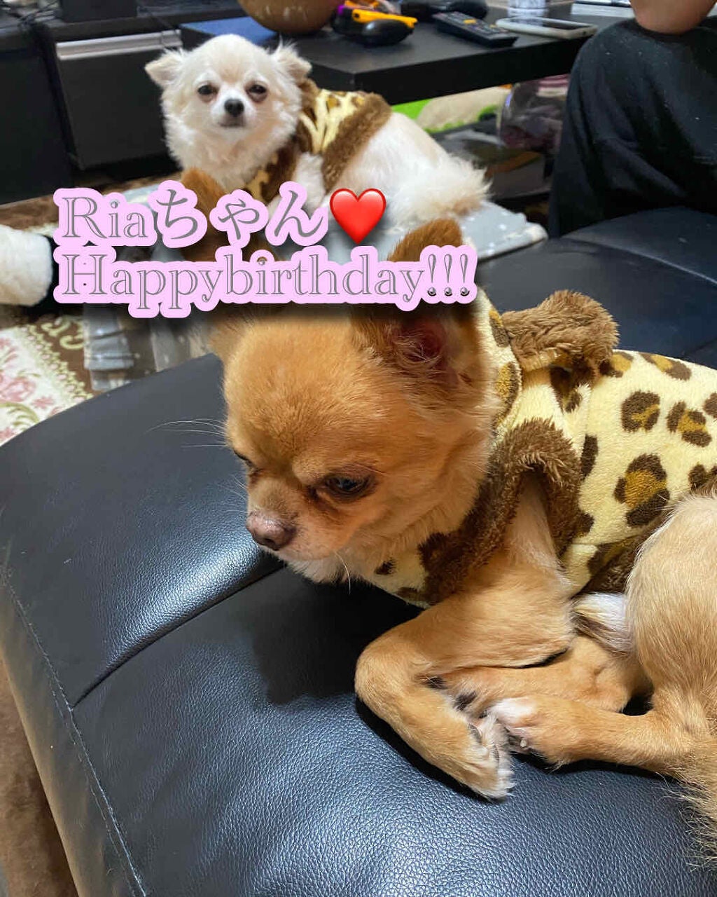 きき湯 クレイ重曹炭酸湯/きき湯/炭酸系入浴剤を使ったクチコミ(1枚目)