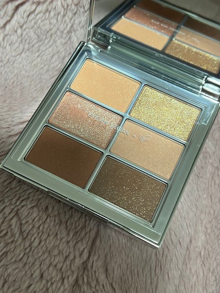 アイ ヴィーガン シアーパレット/AMUSE/アイシャドウパレットを使ったクチコミ(1枚目)