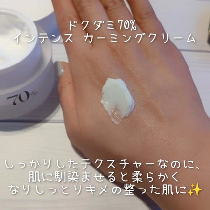 ドクダミ 77 スージングトナー/Anua/化粧水を使ったクチコミ(4枚目)