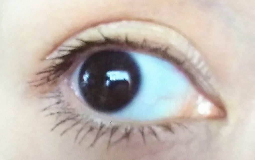 ラッシュマキシマイザーN/KATE/マスカラ下地を使ったクチコミ(2枚目)