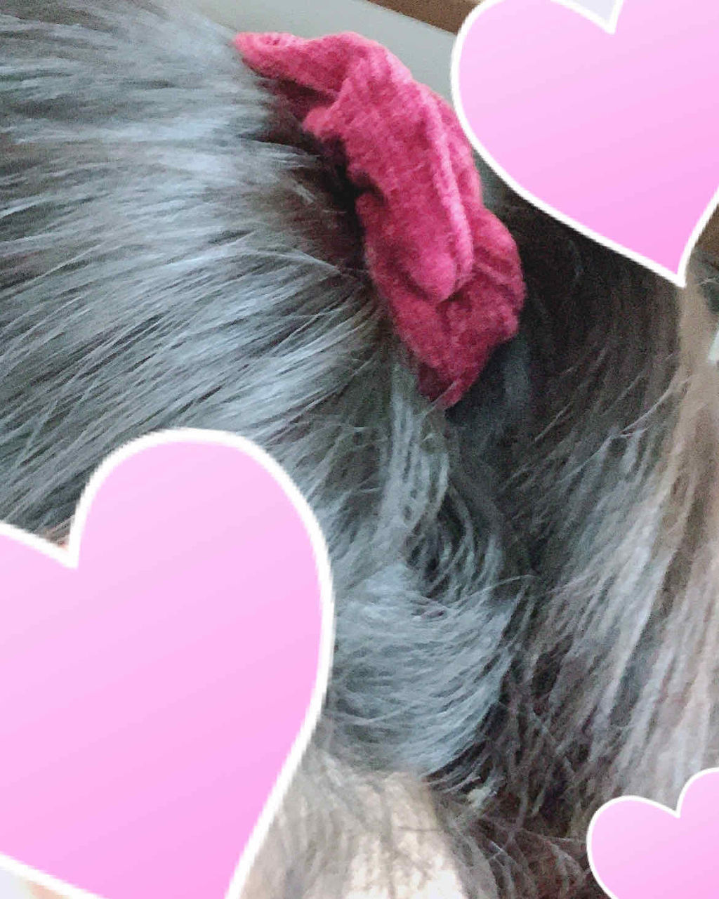 シュシュ/セリア/その他を使ったクチコミ（3枚目）