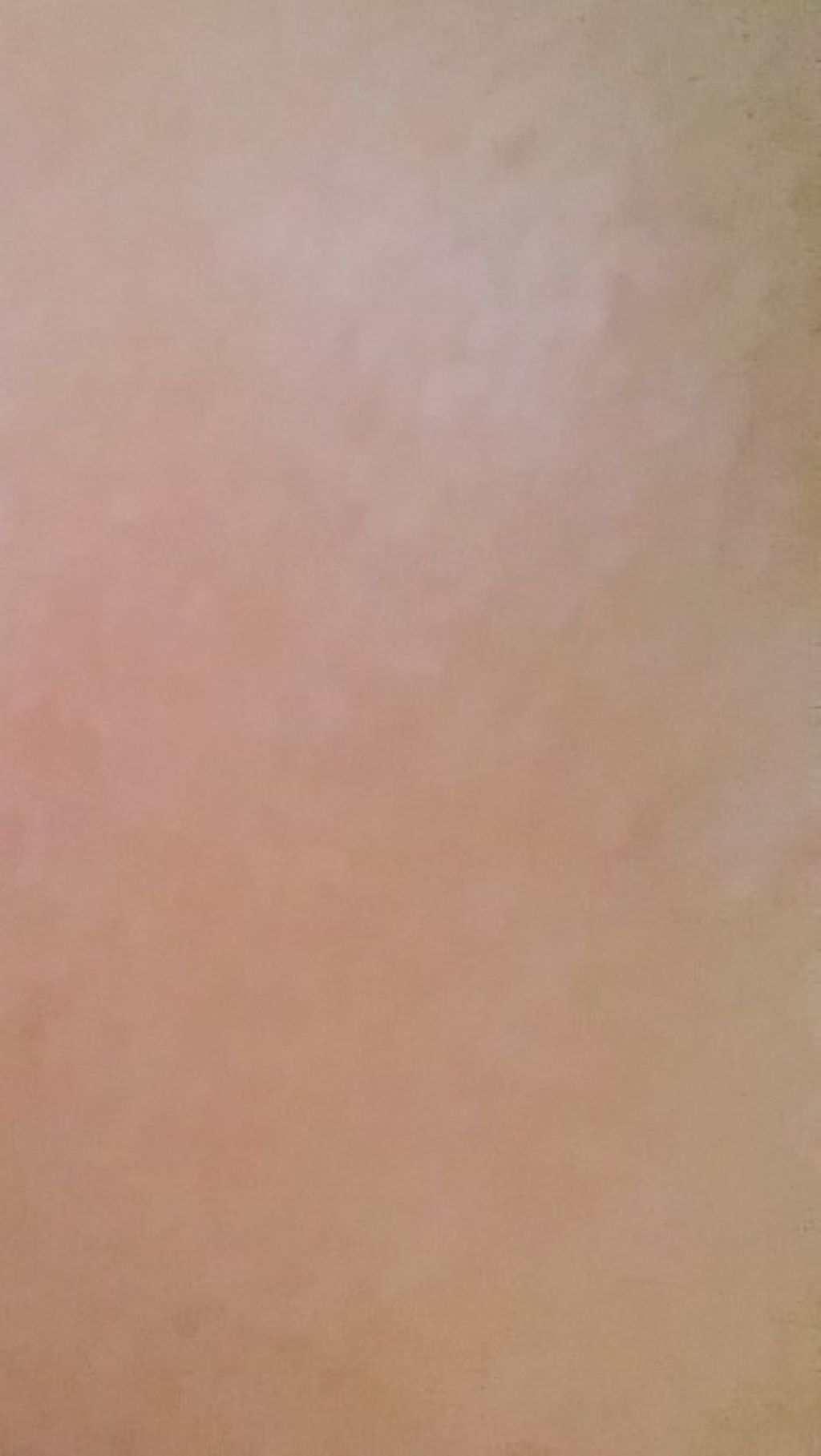 薬用パウダー化粧水/メンソレータム アクネス/化粧水を使ったクチコミ(1枚目)