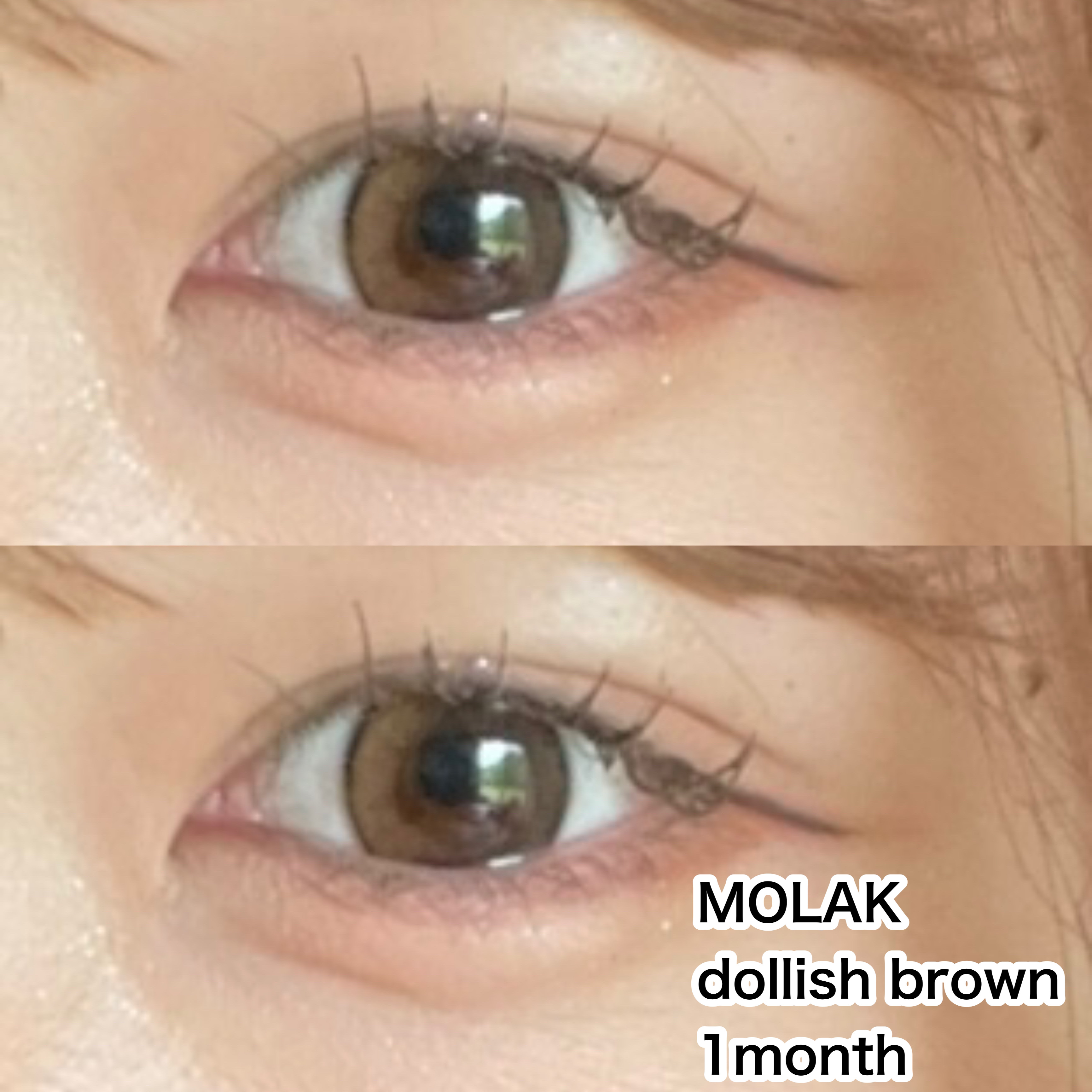 MOLAK 1month ドーリッシュブラウン/MOLAK/１ヶ月（１MONTH）カラコンを使ったクチコミ（2枚目）