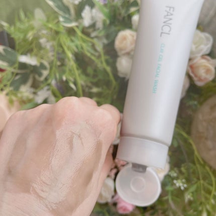 泥ジェル洗顔/ファンケル/その他洗顔料を使ったクチコミ(4枚目)