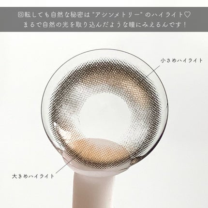 ロイヤルヴィンテージ アイズ 017 セピアピンク/リンメル ロンドン/アイシャドウパレットの画像