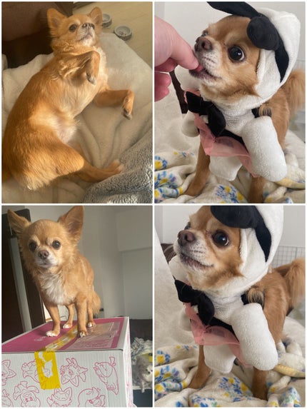 を使ったクチコミ(2枚目)