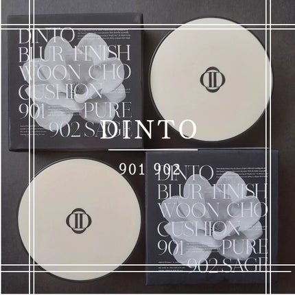 Dinto ブラー フィニッシュ マットクッションファンデーション/Dinto/クッションファンデーションを使ったクチコミ(1枚目)