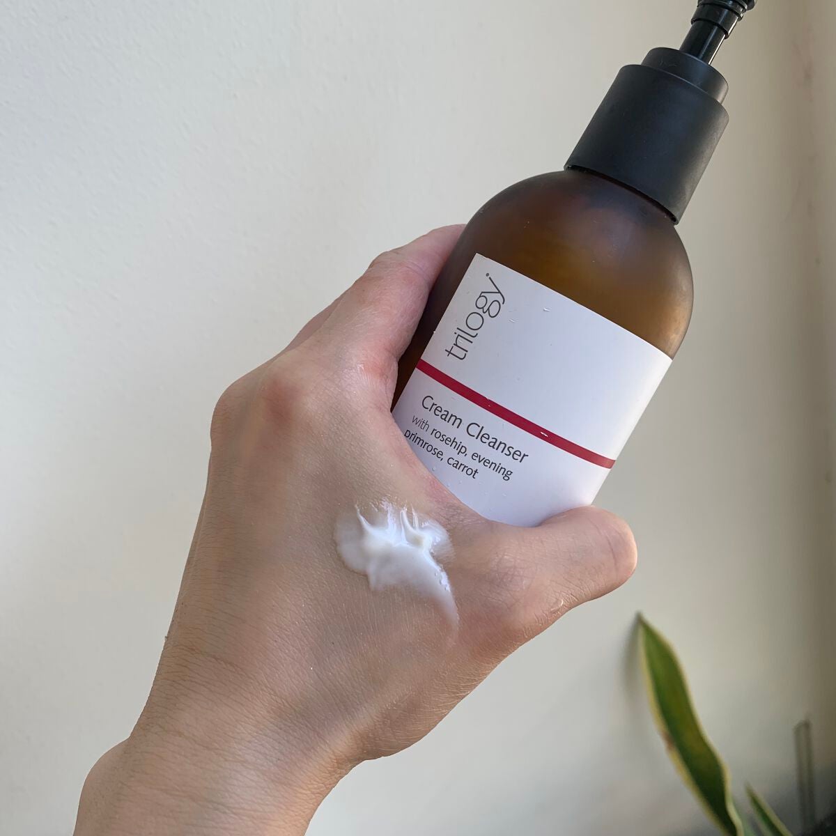 クレンジング クリーム/trilogy/クレンジングクリームを使ったクチコミ(2枚目)