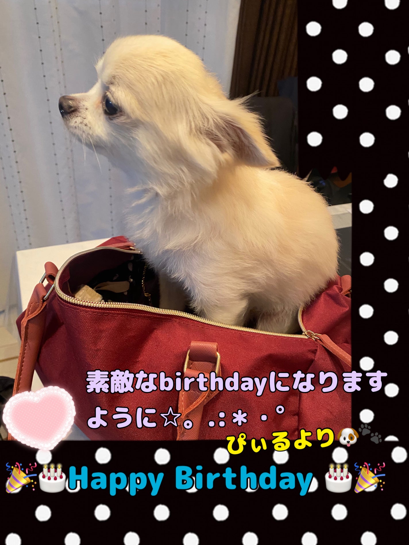 ネイルホリック Aurora Glitter/ネイルホリック/マニキュアを使ったクチコミ(6枚目)