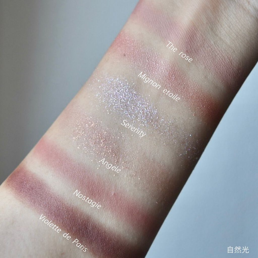 プロアイシャドウパレットセシル/CELEFIT/アイシャドウパレットを使ったクチコミ(2枚目)