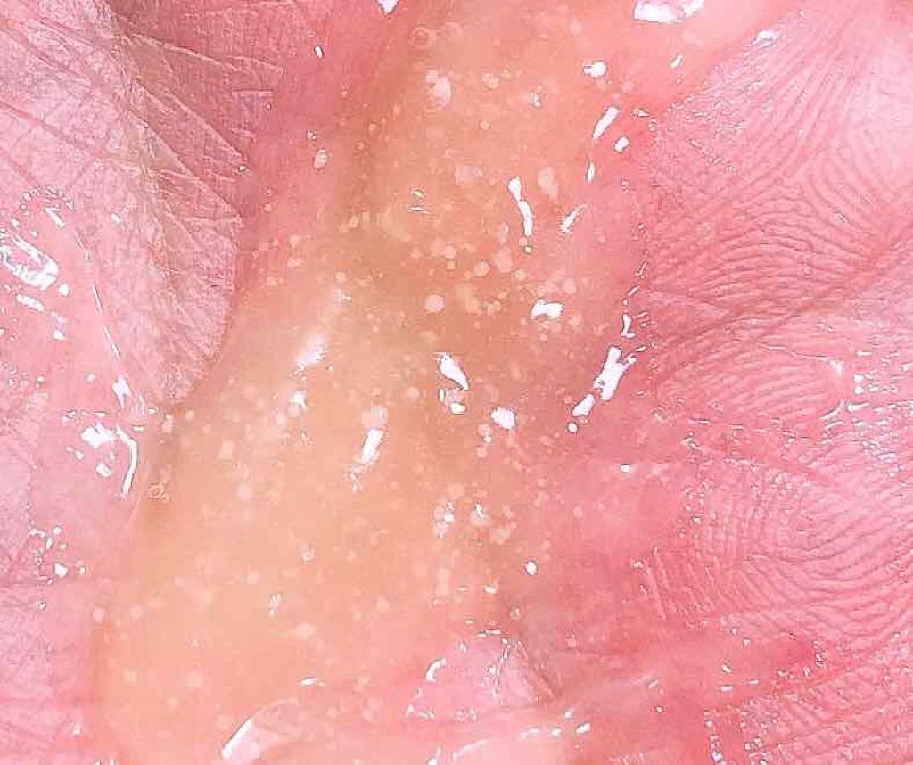 ビューティ スリーピング マスク/WASO/フェイスクリームを使ったクチコミ（2枚目）