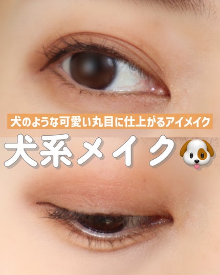 アイカラーレーション スペシャルエディション EX02 Modernity アイカラーレーション スペシャルエディション EX02 Modernity