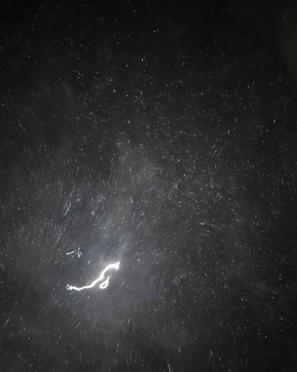 ブラックローズ/ラッシュ/リップグロスを使ったクチコミ（2枚目）