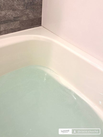 薬用 HOT TAB WELLNESS /HOT TAB/炭酸系入浴剤を使ったクチコミ(3枚目)