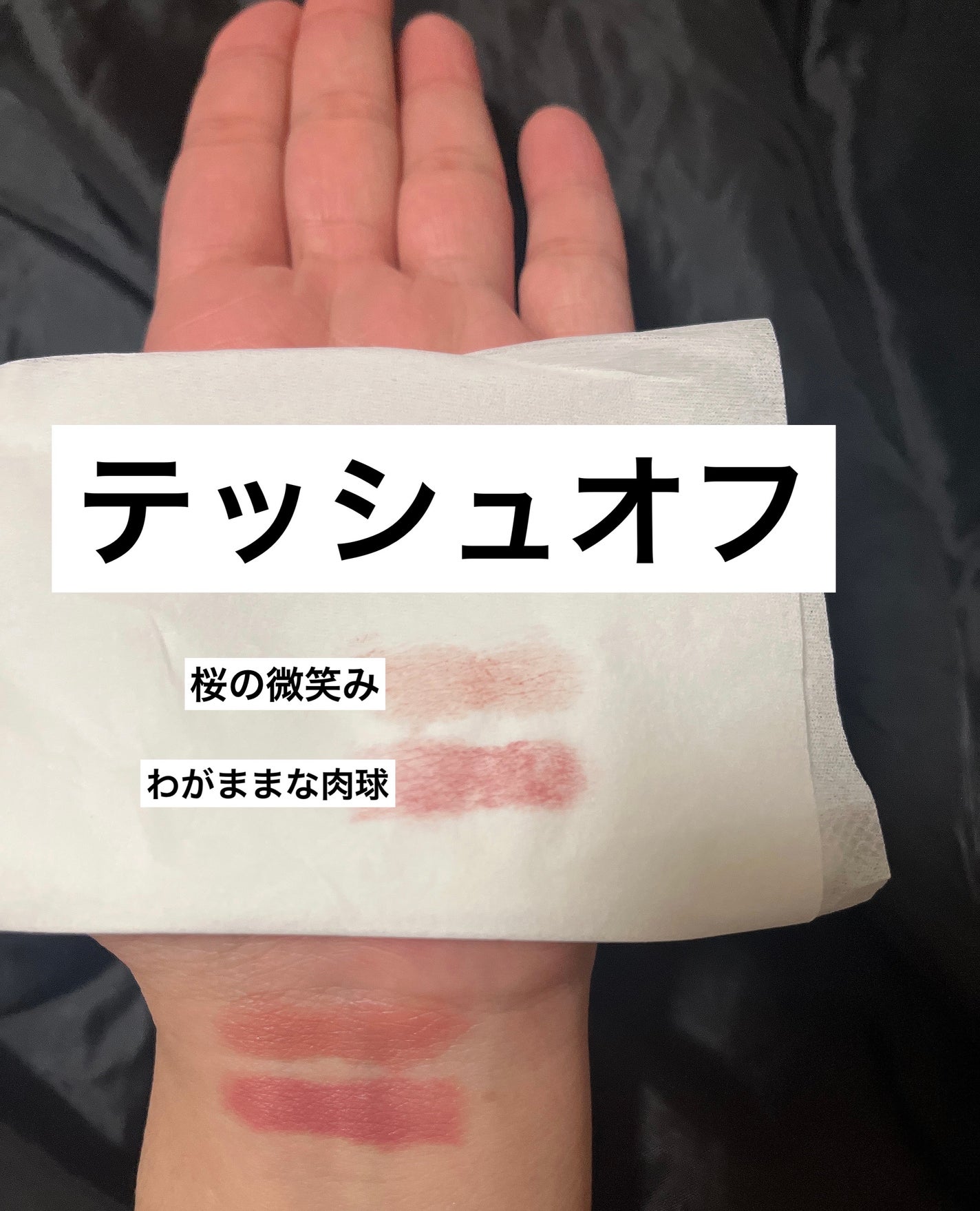 ネンマクフェイク ルージュ/Visée/口紅を使ったクチコミ(3枚目)