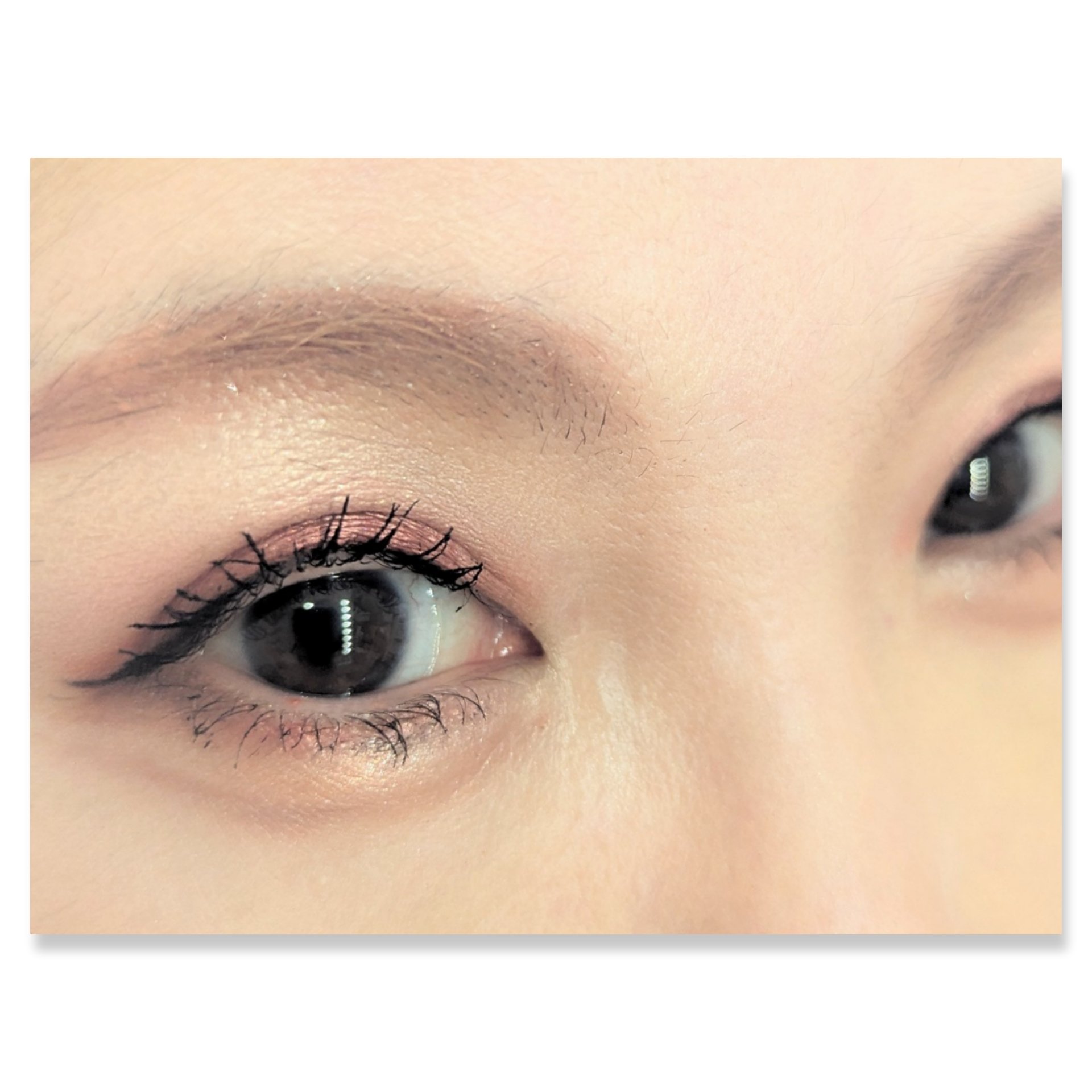 アイカラーパレット スイートベリー/heme/アイシャドウパレットを使ったクチコミ（2枚目）