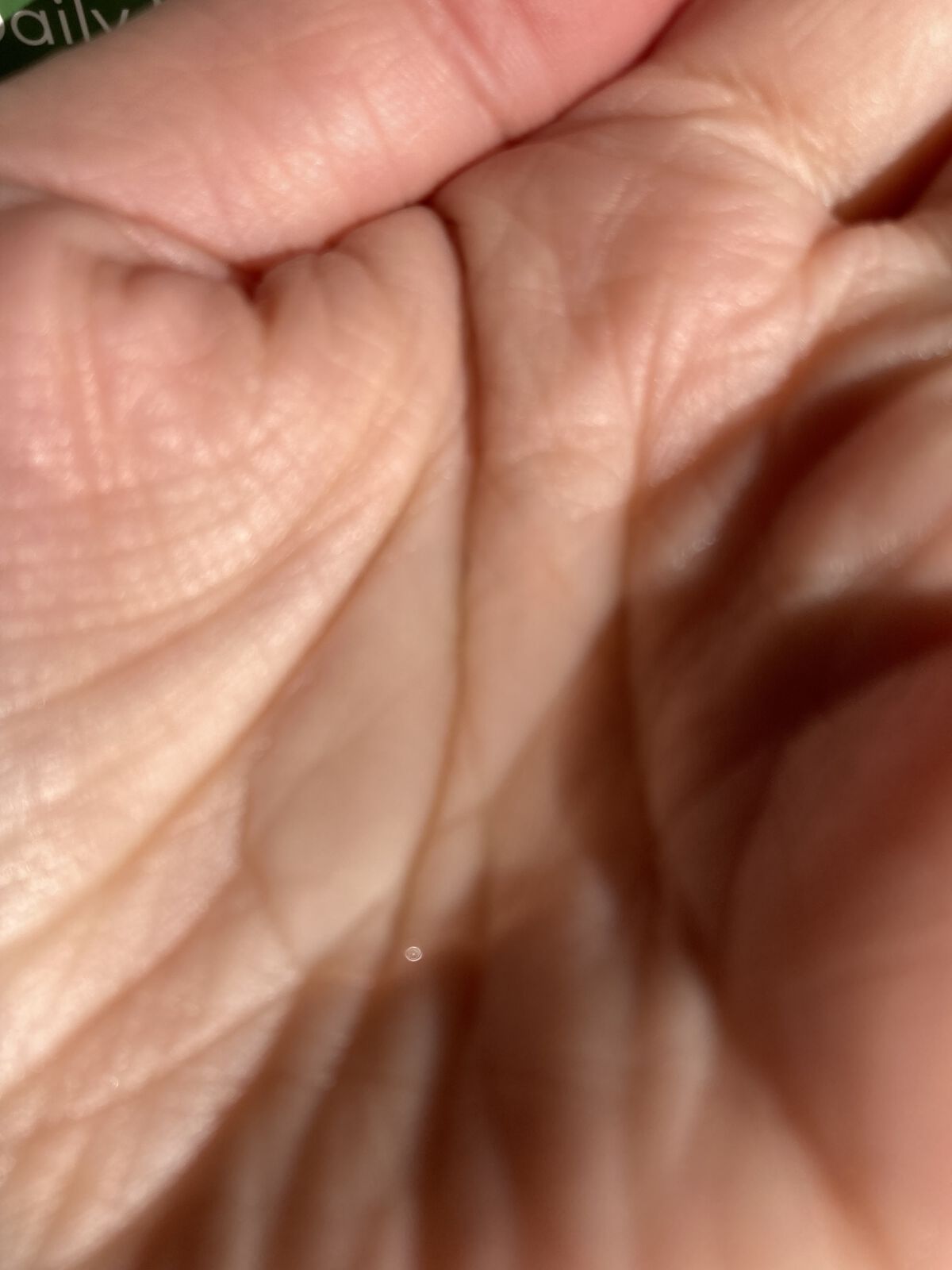 シカ100スージングアンプル/Neulii/美容液を使ったクチコミ（2枚目）