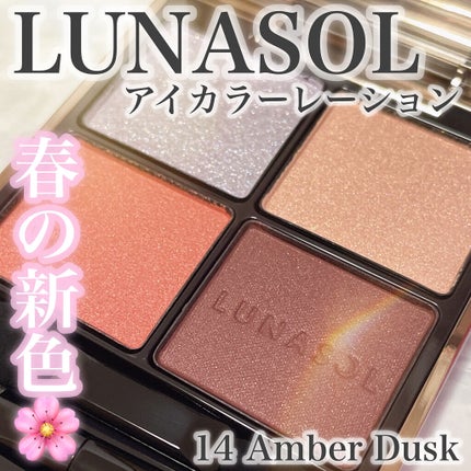 アイカラーレーション/LUNASOL/アイシャドウパレットを使ったクチコミ(1枚目)