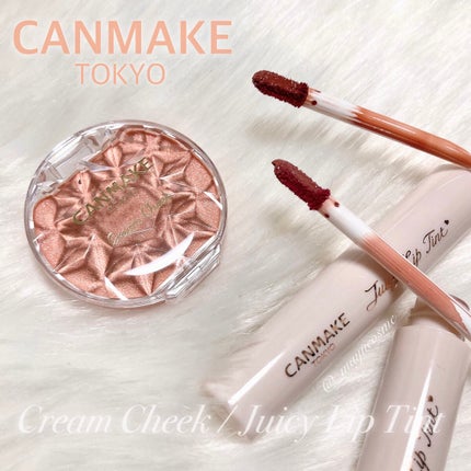 ジューシーリップティント/キャンメイク/口紅を使ったクチコミ(1枚目)